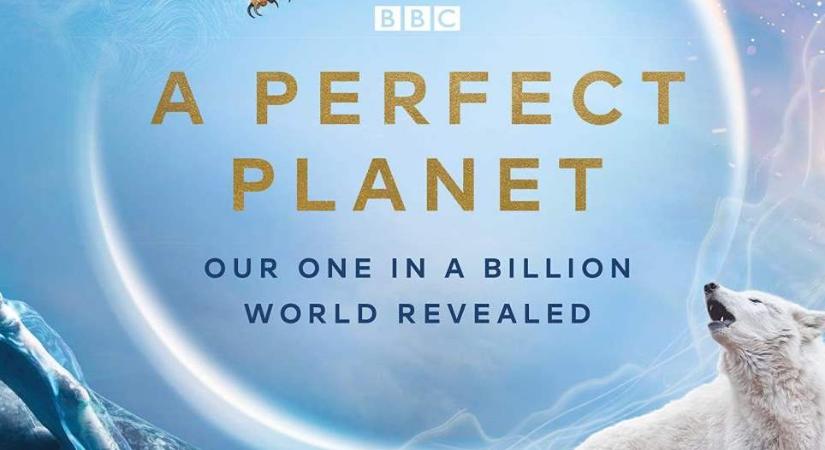 Új sorozattal jelentkezik a Földről David Attenborough (videóval)