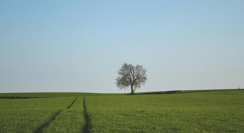 Ma a 20 fok sem kizárt, újabb rekordok dőlhetnek