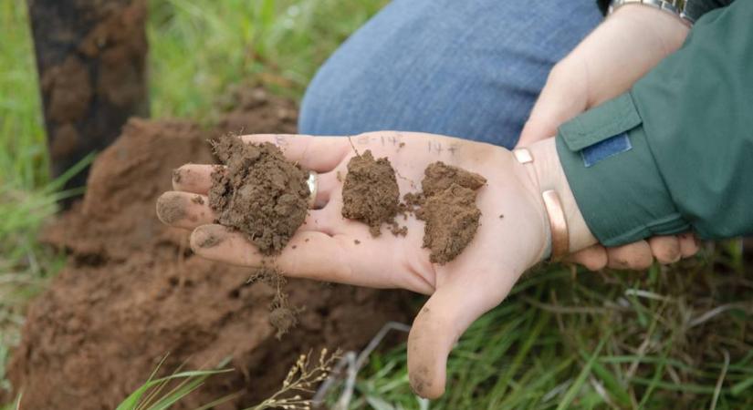 Save the Soil: A Talaj Megőrzésének Fontossága