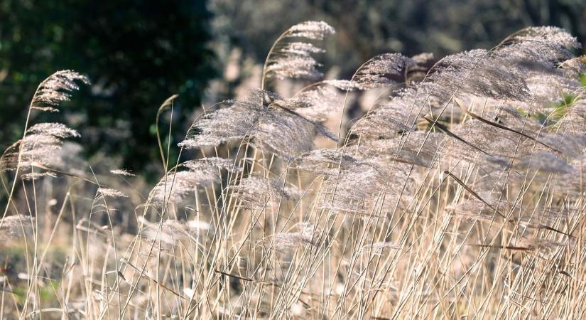 Két vármegyére adtak ki elsőfokú figyelmeztetést az országban, Vas közte van