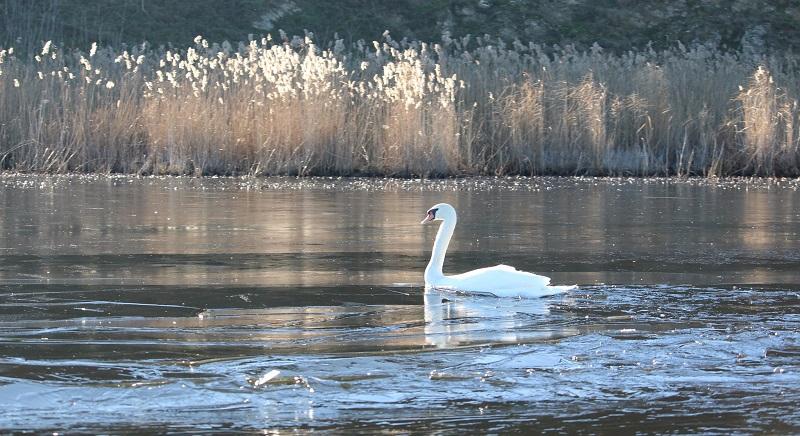 Visszaesett a Duna-delta turistaforgalma az ukrajnai háború közelsége miatt