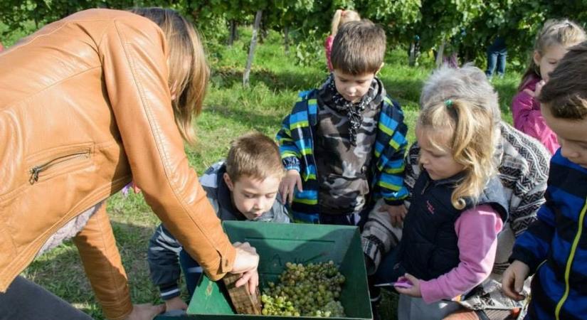 Újabb tatai intézmény nyerte el a Zöld Óvoda címet