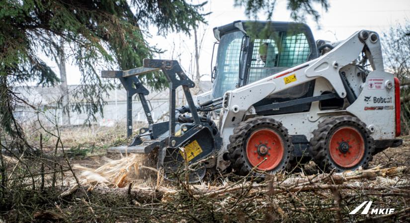 Több ezer köbméter fát vágnak ki az M1 mellett