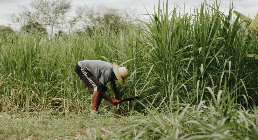 EU-s agrárpolitikai konfliktust okozhat a lengyel elnökség