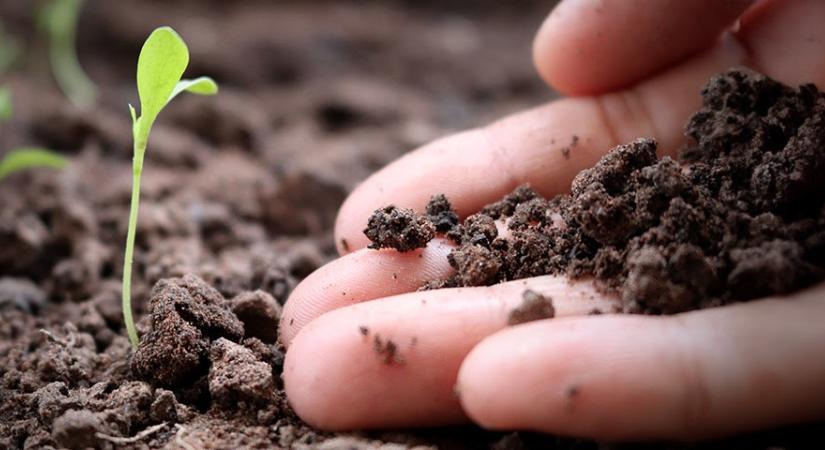 Magyar kutatókkal zajlik az agrárhulladékok zöld műtrágyává alakításának nagy európai programja