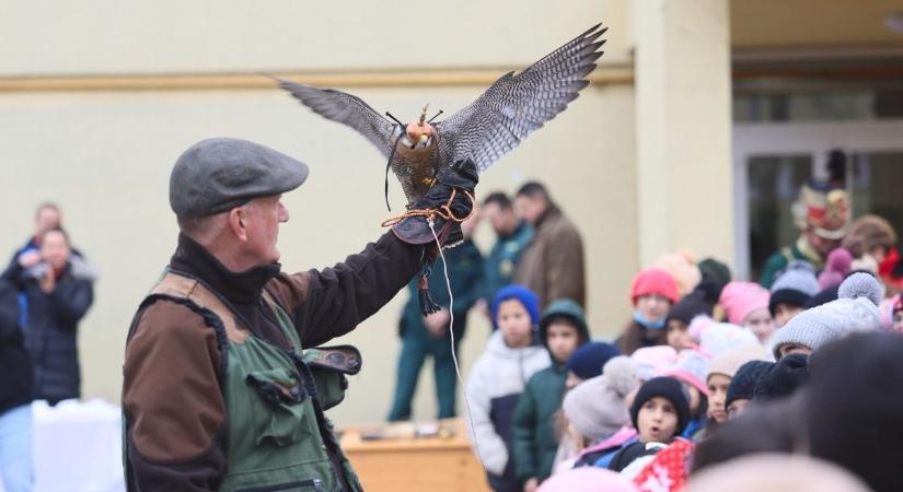 Sólymok szárnyai susogtak a gyerekek feje felett - fotók, videók