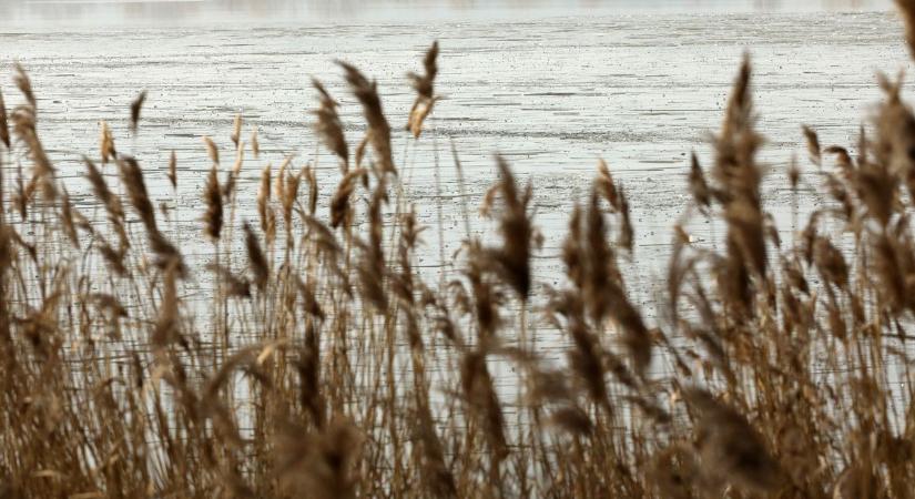 Mérséklődik a szél szerdán Zalában