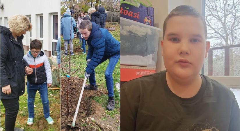 Közösségi kertet hozna létre a gyerekeknek a Kerek Világ, mi is segíthetünk nekik