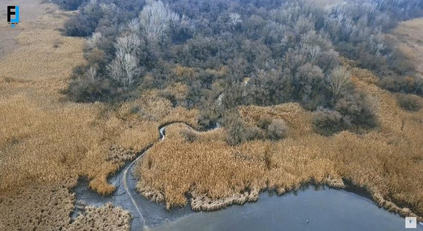 Káprázatos drónvideó készült a Tisza-tó rejtett csatornáiról