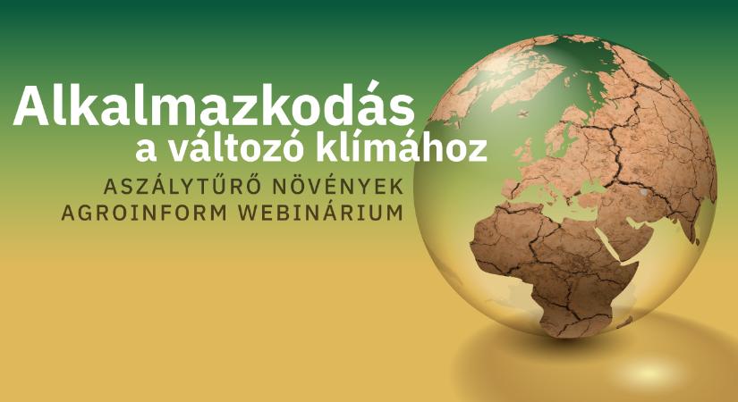 Alkalmazkodás a változó klímához – aszálytűrő növények Agroinform webinárium