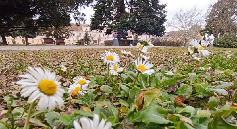 Hosszú idő után nem adtak ki figyelmeztetést Vasra: folytatódik a januári tavasz