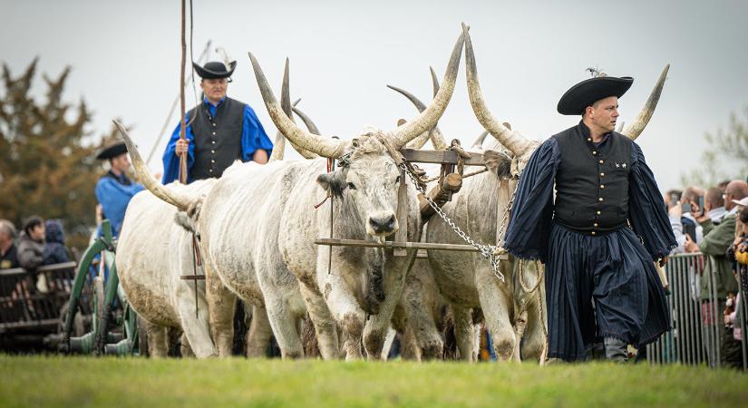 Szent György-napi Kihajtási Ünnep és Kézműves vásár 2025 Hortobágy