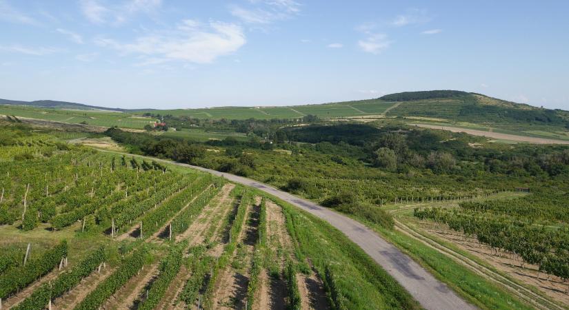 Kék Bolygó – Áder János: a Tokaji borvidék felkészült a változásra