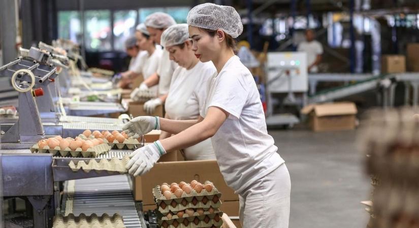 Vendégmunkások alkalmazása Győr-Moson-Sopronban – Megoszlanak a vélemények