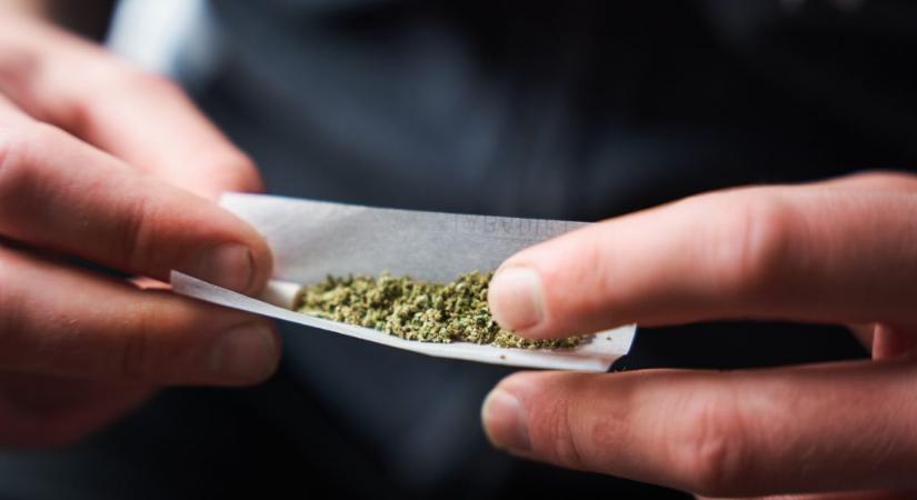 Erre az agyi funkcióra nagyon rosszul hat a kannabisz