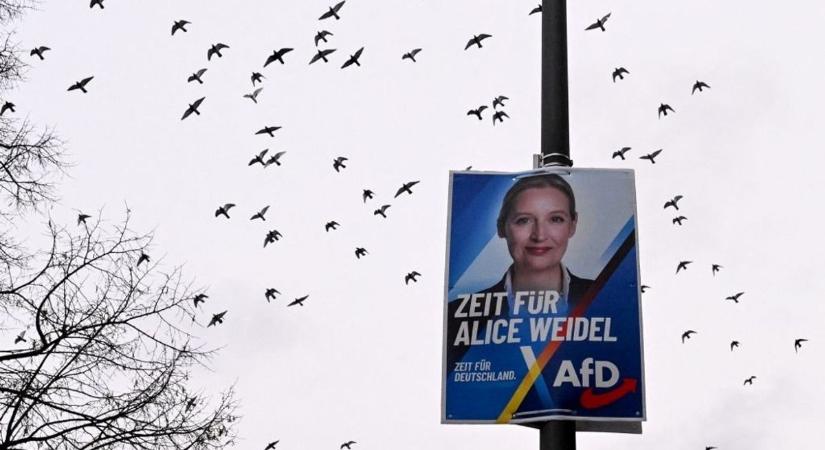 Az AfD betiltásáról tárgyal csütörtökön a Bundestag