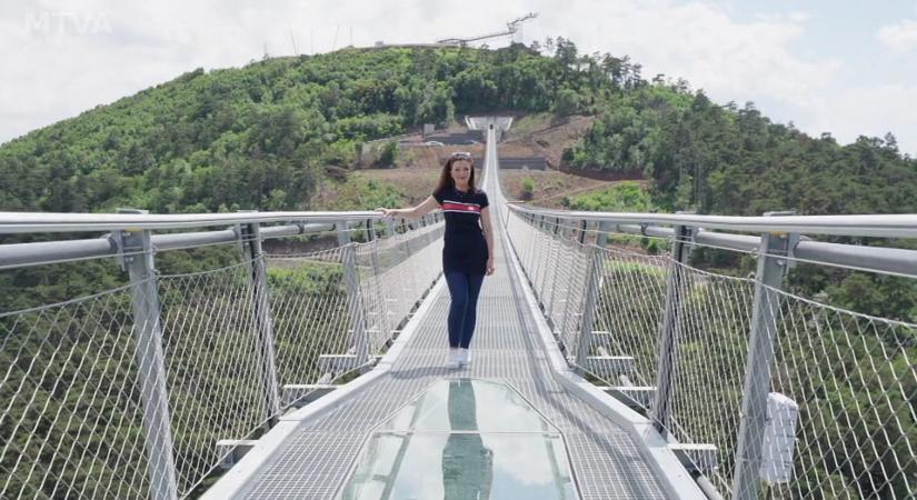 A sátoraljaújhelyi Nemzeti összetartozás hídja lett a világ leghosszabb fesztávolságú gyalogos függőhídja