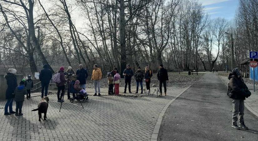 Egy ritkaságot is megfigyeltek a nagykörűi madarászok a bagolylesen – videóval