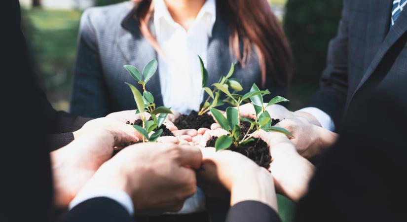 Már idén több tízezernyi hazai cégnek kell megfelelnie az ESG-szabályoknak