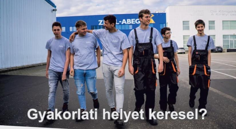 Gyakorlati helyek a ZIEHL-ABEGG Kft.-nél!