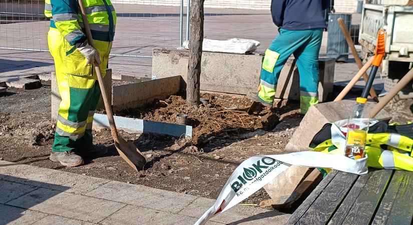 Hetekig használt sütőolajjal locsolta a fákat lángosos az adventi vásáron!