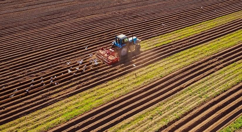 Szezonban megugrik az órabér: Nőttek a fizetések a mezőgazdaságban