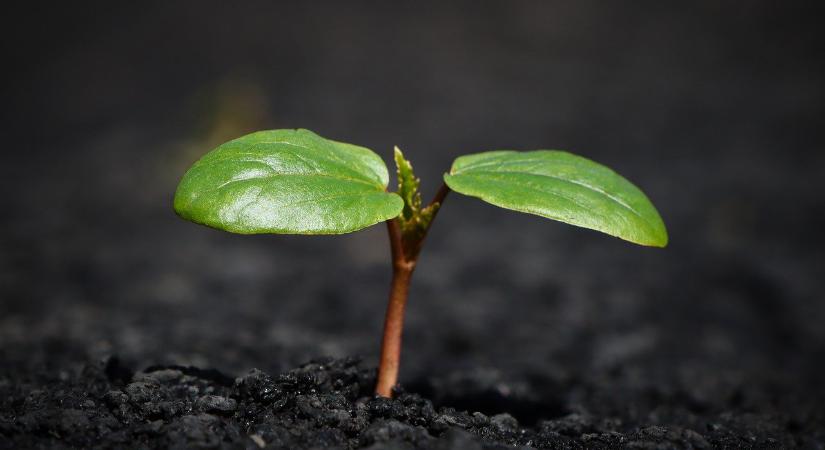 Új kiadvánnyal segít eligazodni a földforgalmi szabályok között a Nemzeti Agrárgazdasági Kamara