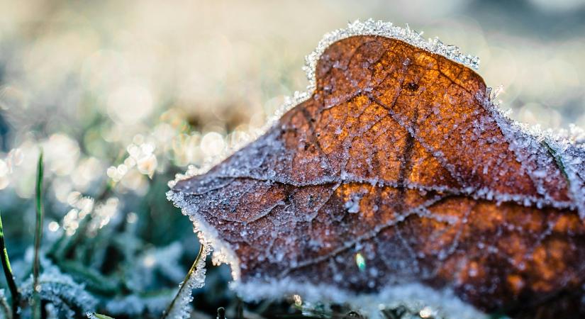 Visszatérnek az éjszakai fagyok a következő héten