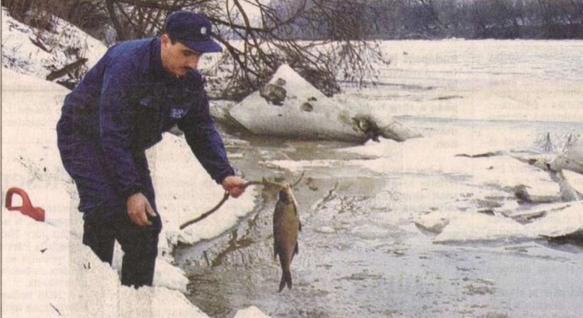 Nem csak halakat ölt meg a mérgező Tisza Hajdú-Biharban