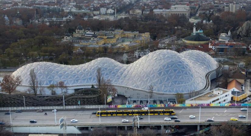 Lecsípne egy kicsit az Orbán-kormány a budapesti állatkertből