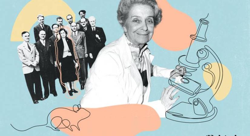 A fasiszta uralom alatt a föld alatt élt: a Nobel-díjas Rita Levi-Montalcini alapozta meg a rák és a demencia megértését