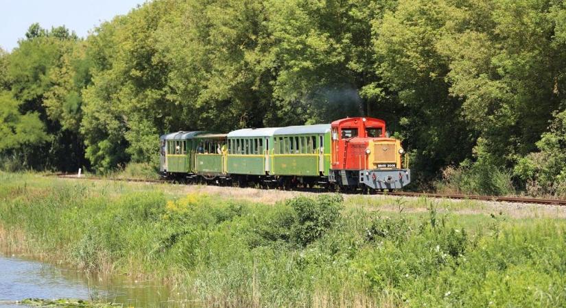 Vonattal a Berek mélyére – 75 éves a Balatonfenyvesi Kisvasút