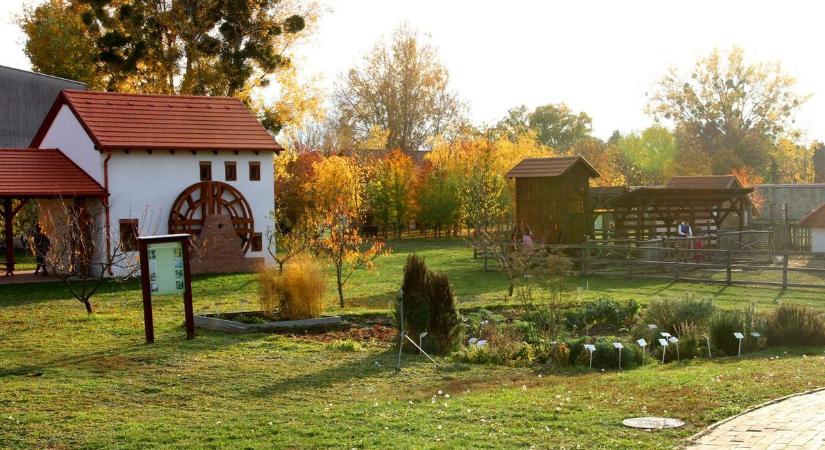 Gőzgépek, nyuszik és majorbéli kalandok