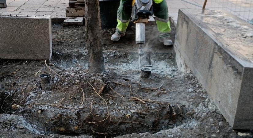 Sok millióba fog kerülni az olaj locsolás a pecsenyésnek!