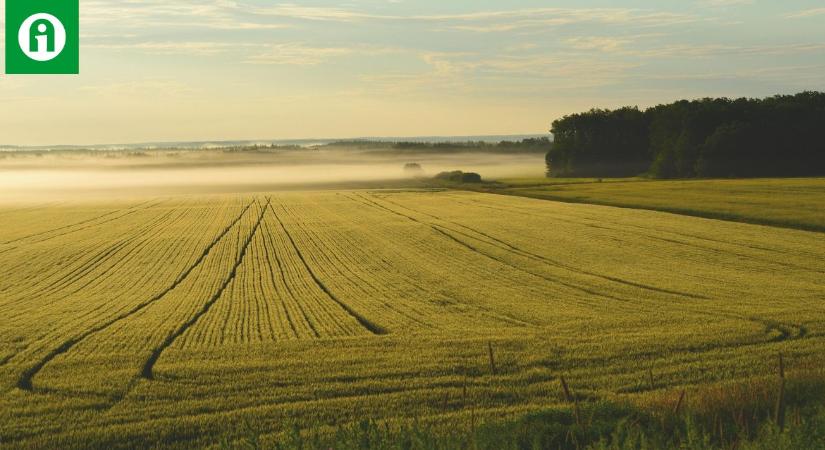 Brutális földárak Európában – a máltaitól te is padlót fogsz!