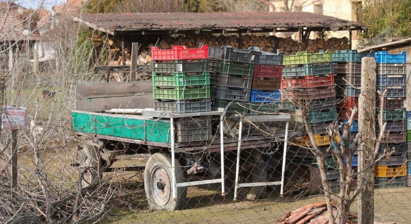 Megoldódott az ügy: véget ért a lovaskocsis dráma!