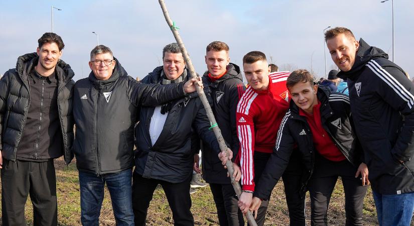 Fákat ültettek a lokisták Debrecenben