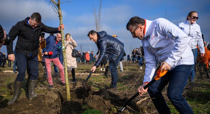 Több mint ötszázan gyűltek össze közösségi faültetésre Debrecenben – fotókkal