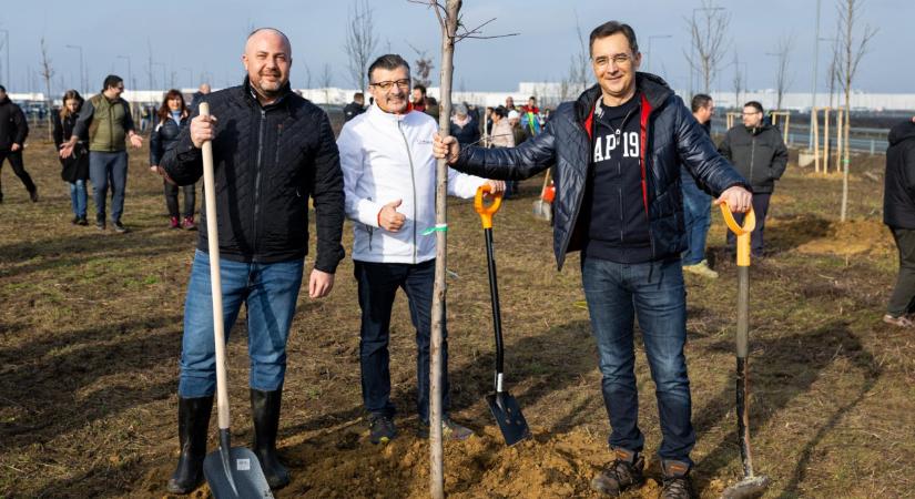 Jön a tüntetés: Papp László akit csak tudott, faültetésre mozgósított