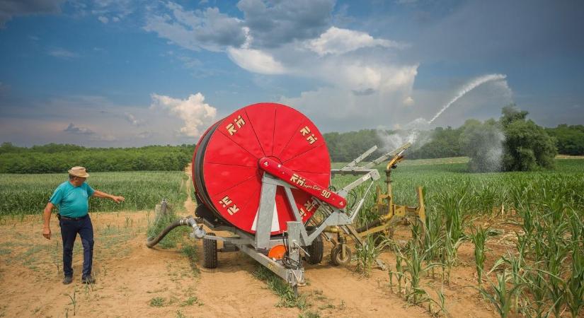 Két új öntözésfejlesztési pályázatot is kiír az agrártárca