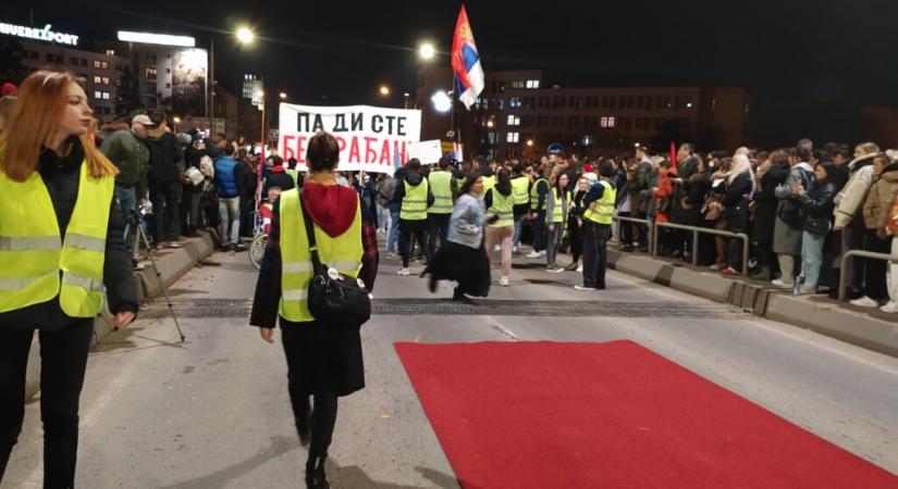 Vörös szőnyeggel várták belgrádi kollégáikat az újvidéki egyetemisták