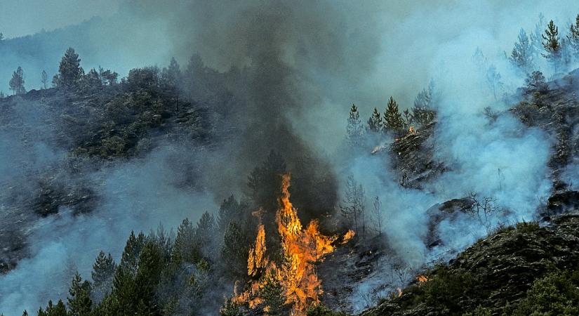 Szörnyű katasztrófák sora jöhet 2025-ben: kitudódott Baba Vanga titkos jóslata