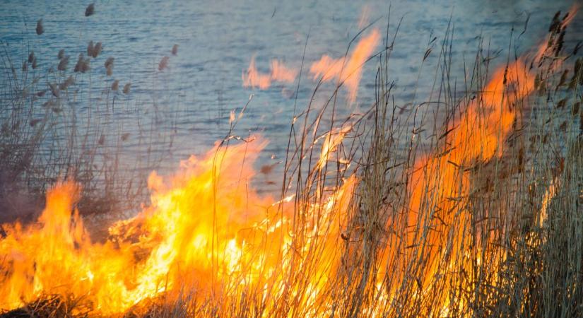 Kigyulladt a nádas a Kis-Balatonon