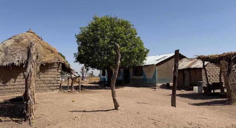 Megmarta egy kígyó a Budapest-Bamako egyik versenyzőjét, az életéért küzdenek