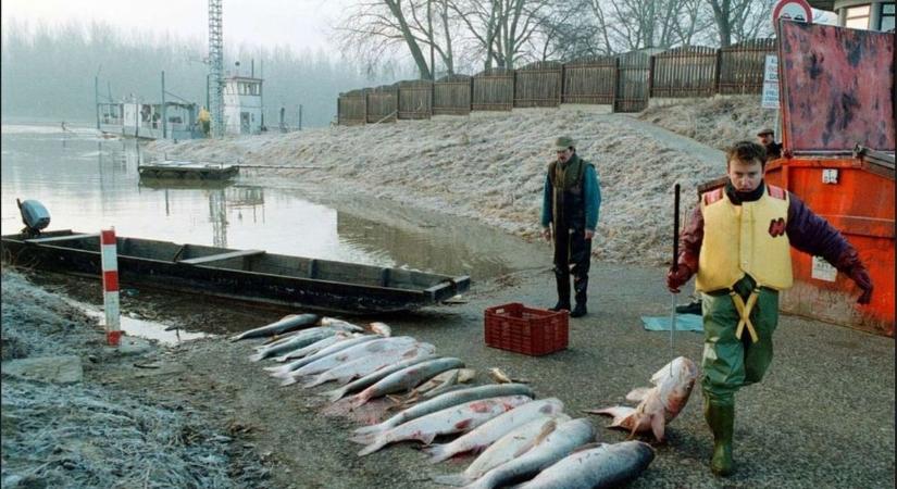 Felsírt a Tisza, vármegyénket is érintette Európa egyik legnagyobb környezeti katasztrófája