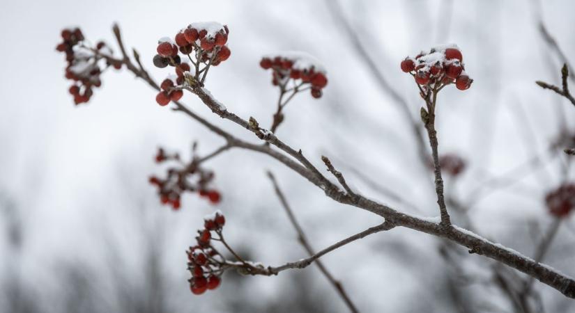 Visszatér a havazás, téli időjárással indul a február