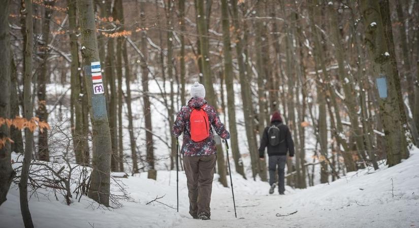 Csak a medve tudja, jó-e nekünk, ha vasárnap havazik