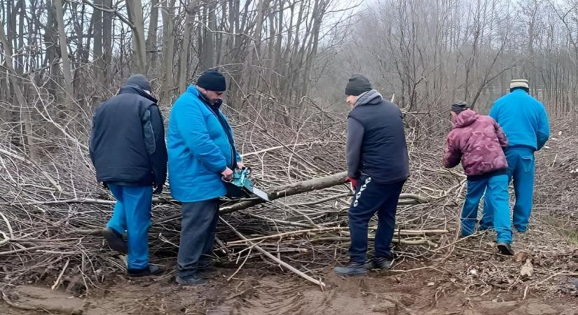 Nem unatkoznak a városüzemeltetés munkatársai