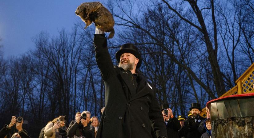 Punxsutawney Phil mormota hosszú telet jósolt