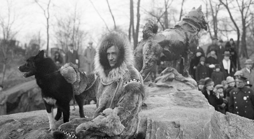 Valóságból rajzfilm: a szánhúzó Balto (és a többiek) igaz története